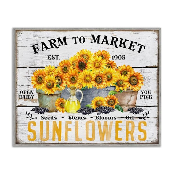 Stupell Industries Farm To Market Sunflowers by Creatif Belle Gray Framed Nature Giclee Art Print 16 in. x 20 in.