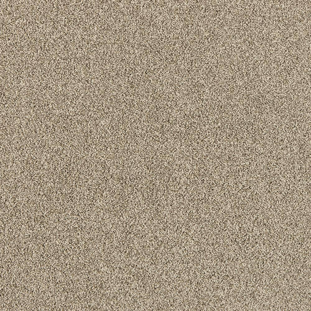8 in. x 8 in. Texture Carpet Sample - Tailored Trends II -Color Delicate price history on PriceWatchPro