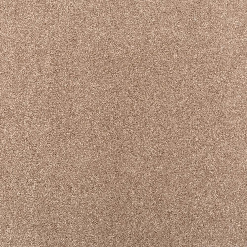 8 in. x 8 in. Texture Carpet Sample - Waking Up II - Color Muted price history on PriceWatchPro