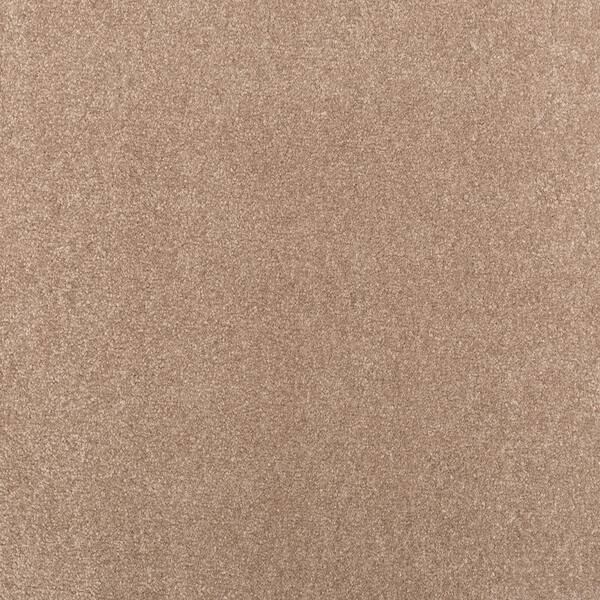 Lifeproof with Petproof Technology 8 in. x 8 in. Texture Carpet Sample - Waking Up I - Color Muted