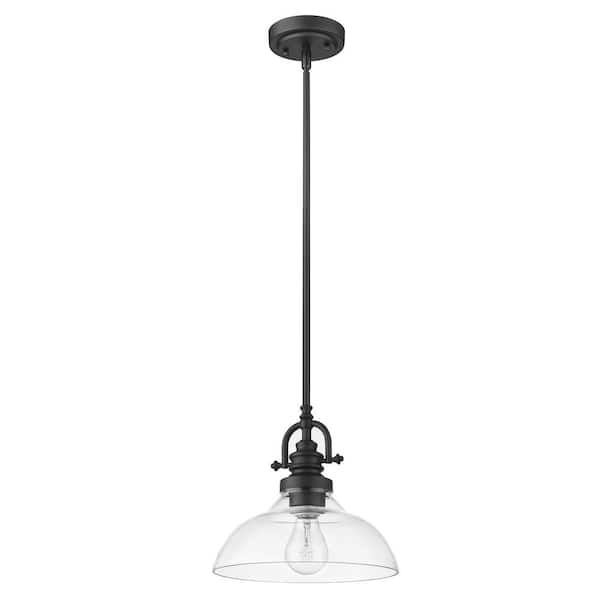 Acclaim Lighting Virginia 1-Light Indoor Matte Black Mini-Pendant with Glass Shade