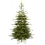 National Tree Company 9 ft. Dunhill Fir Artificial Christmas Tree with ...