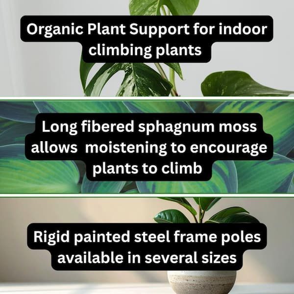 large house plant pots BAMBOO Planter Set
