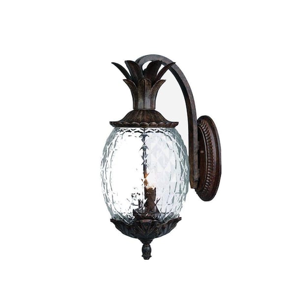 Acclaim Lighting Lanai Collection 2-Light Black Coral Outdoor Wall Lantern Sconce