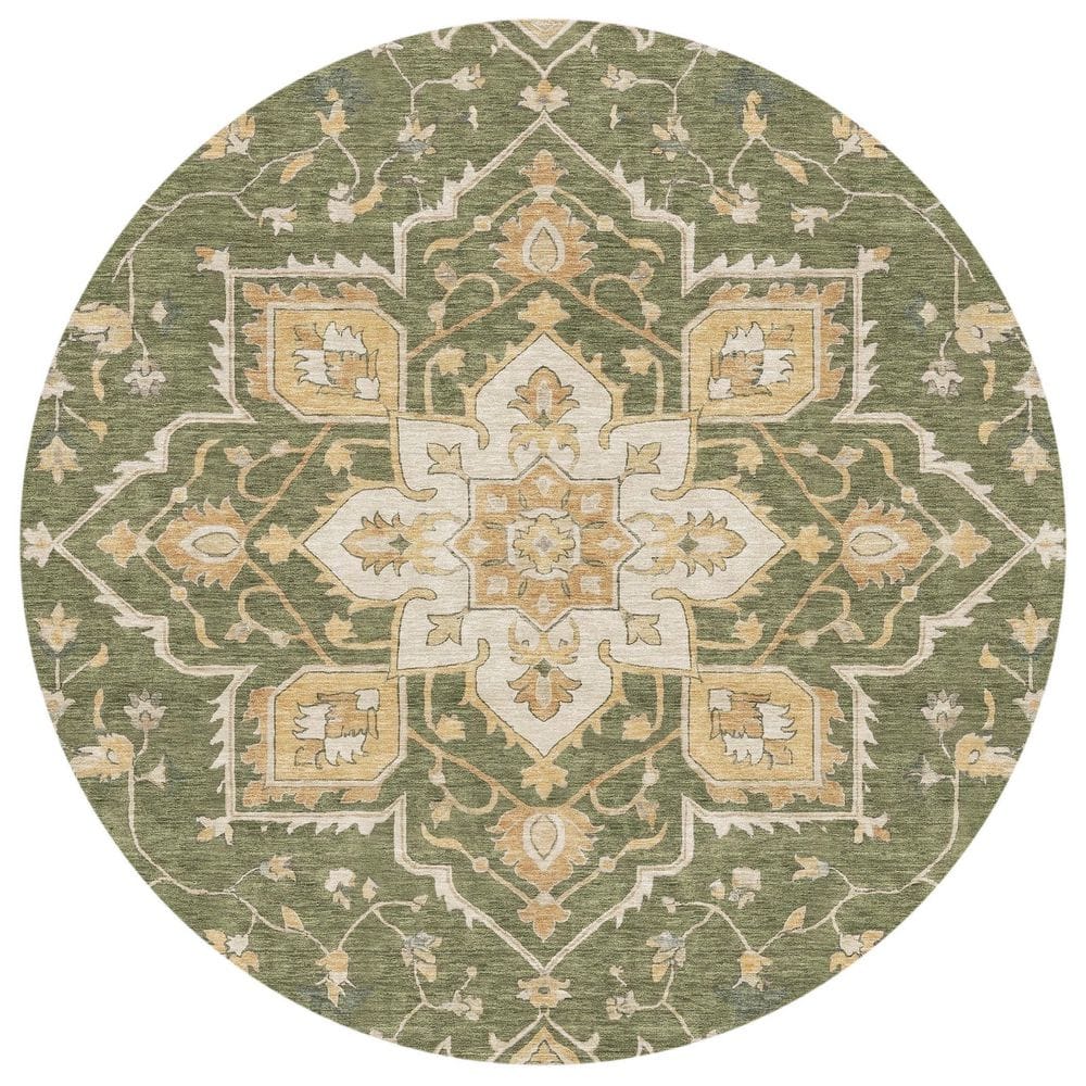 Chantille Machine Washable Indoor/Outdoor Abstract ACN2950 Olive 8 ft. x 8 ft. Round Rug price history on PriceWatchPro