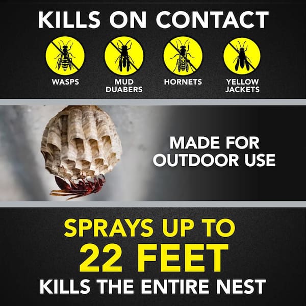 Wasp and Hornet Killer, Stinging Bug Insecticide for Outdoor Use, Insect Killer, 17.5 oz.