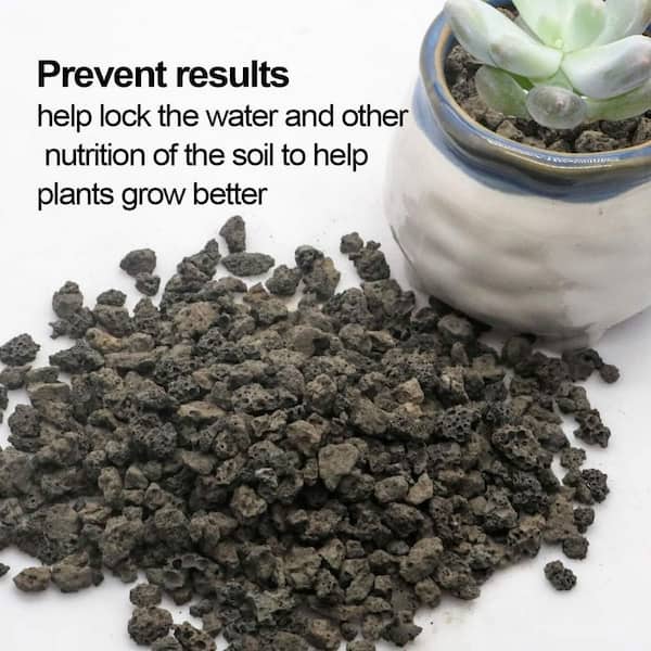 6 lb. Black Lava Rock-Horticultural Volcanic Grit for Succulents &  Drainage, 0.1 cu. ft. Jaycool8137 - The Home Depot