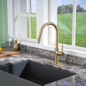 2-Spray Patterns Single Handle Pull Down Sprayer Kitchen Faucet with Deck Plate and Water Supply Hoses in Brushed Gold
