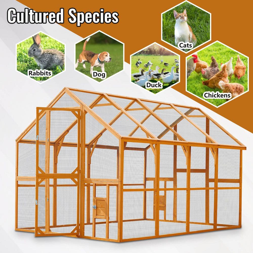 111 in. x 74 in. x 72 in. Large Wooden Chicken Coop Kitten Pen with Waterpr