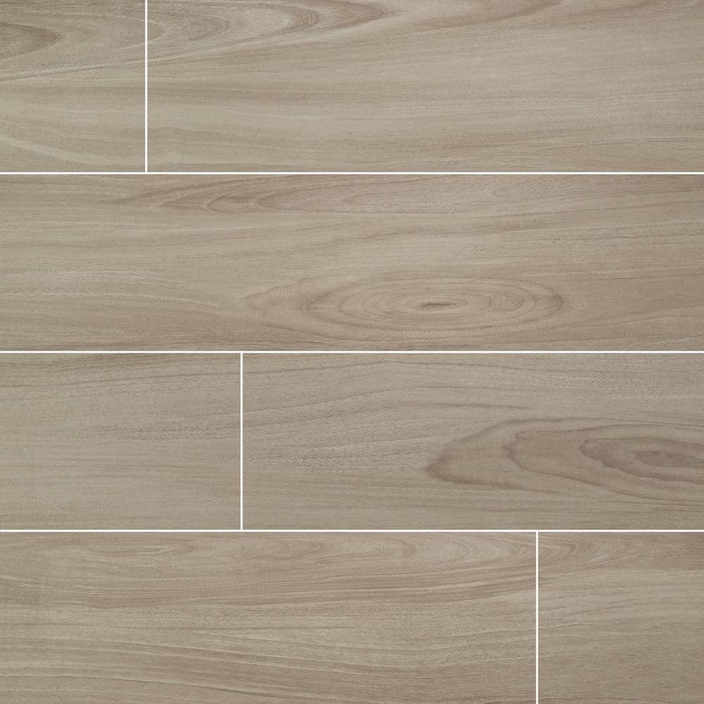 Take Home Sample - Brooksdale Poplar 4 in. x 4 in. Matte Porcelain Floor and Wall Tile price history on PriceWatchPro