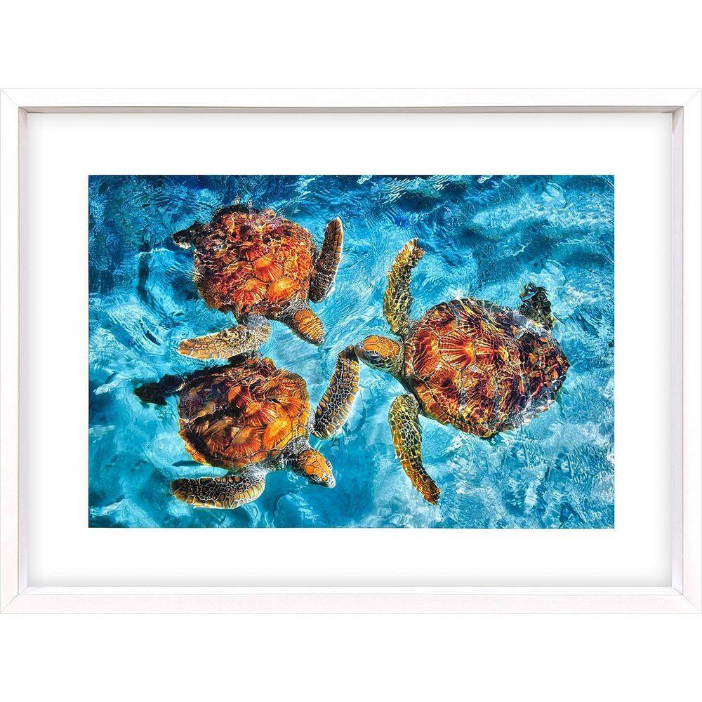 Frates 1 Piece Framed Color Animal Photography Wall Art 34 in. x 46 in. price history on PriceWatchPro