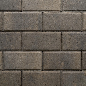 Holland 7.87 in. L x 3.94 in. W x 2.36 in. H 60 mm Truckee Blend Concrete Paver (480-Piece/103 sq. ft./Pallet)