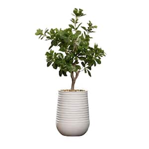 Vintage Home Artificial Faux Tung Tree 44'' High Fake Plant Real Touch with Eco Planter