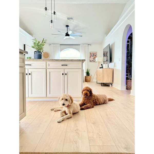Malibu Wide Plank French Oak Shoreline 30 mil x 9.1 in. W x 48 in