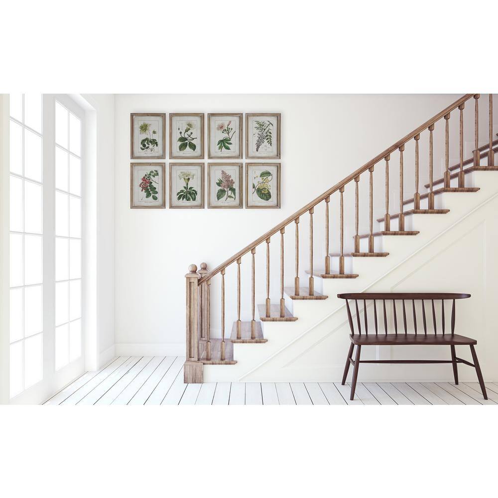 Set of 8 Distressed Brown Framed Botanical Prints