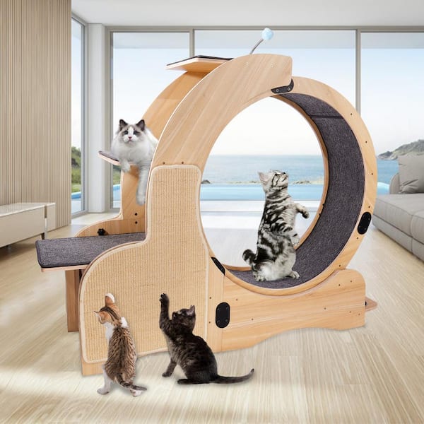 Cat tree cheap with wheel