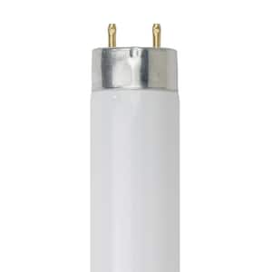 15-Watt 18 in. Linear T8 Fluorescent Tube Light Bulb, Black Light (30-Pack)