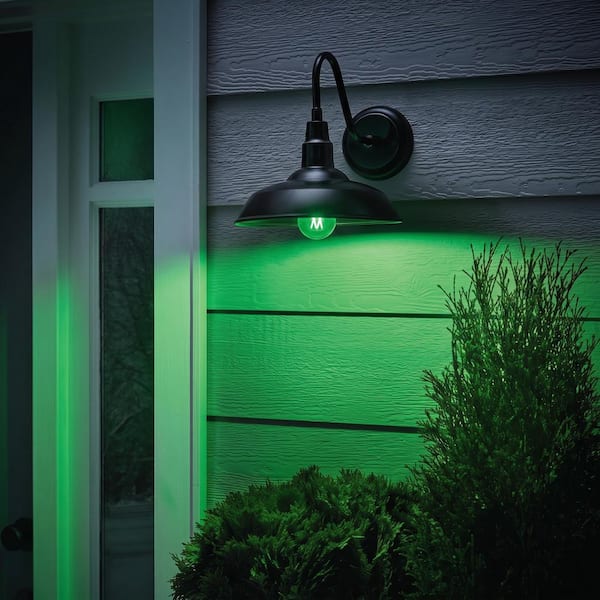 40-Watt Equivalent A19 Dimmable Filament Green Colored Glass LED Light Bulb (1-Pack)