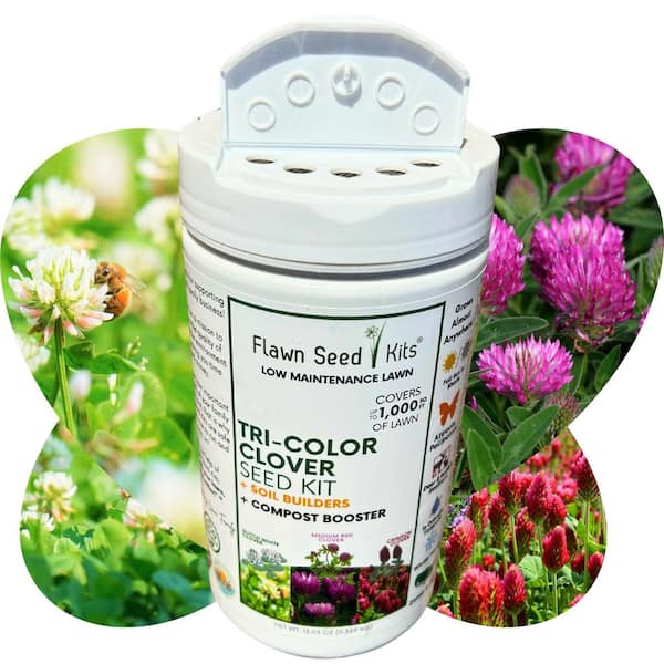 Flawn Seed Kits Tricolor Clover Lawn Flower Seed, Easy Spread Shaker, Low Mnt, Alternative Ground Cover, Covers Up to 1,000 Sq. ft.