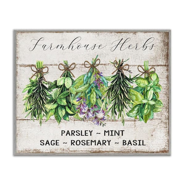 Stupell Industries Vintage Farm Market Herbs by Creatif Belle Gray Framed Food Giclee Art Print 24 in. x 30 in.