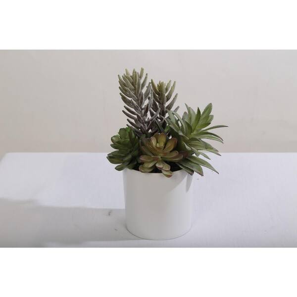 Home Accents Holiday 9.5 in. Assorted Succulent Arrangement in Plastic Pot Purple