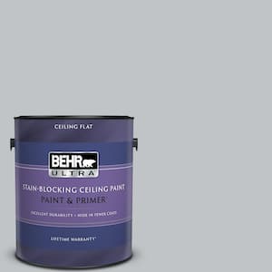 1 gal. #N510-2 Galactic Tint Ceiling Flat Interior Paint with Primer