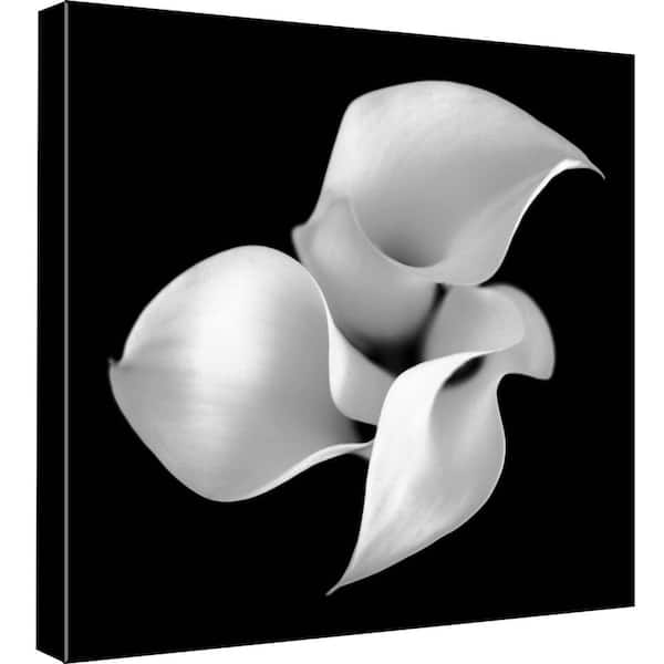 PTM Images 15 in. x 15 in. ''Nature Blooms II'' Printed Canvas Wall Art