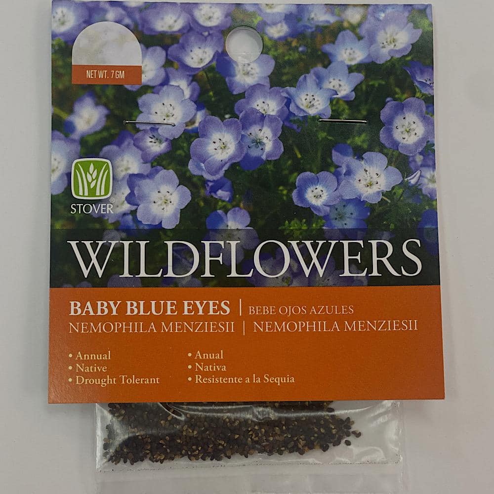 Stover Seed Baby Blue Eyes Seed 6