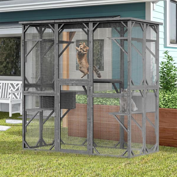 Large outdoor hot sale cat kennel