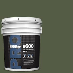 5 gal. #MQ6-54 River Forest Satin Exterior Paint