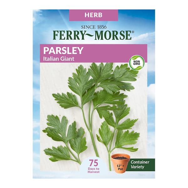 Ferry-Morse Parsley Italian Giant Herb Seeds