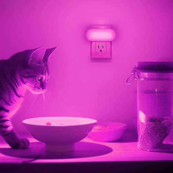 RGB LED Night Light Plug-in, 0. 7W Color Changing Light for Kids Room, Hallway, Bathroom, 2-Pack