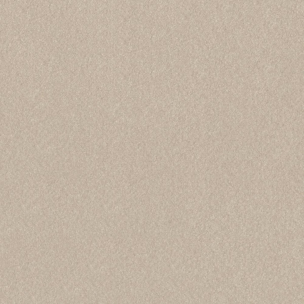 Blakely III - Enoki-Beige 12 ft. 66 oz. High Performance Polyester Texture Installed Carpet