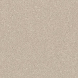 Blakely I - Enoki-Beige 15 ft. 37 oz. High Performance Polyester Texture Installed Carpet