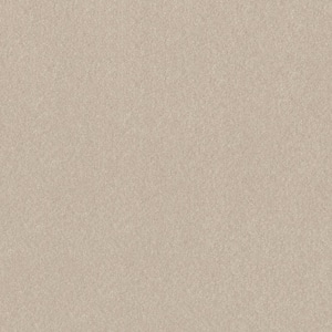 House Party I - Linen - Beige 15 ft. 37.4 oz. Polyester Texture Installed Carpet