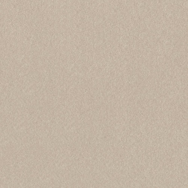 Home Decorators Collection House Party II - Linen - Beige 15 ft. 51.5 oz. Polyester Texture Installed Carpet