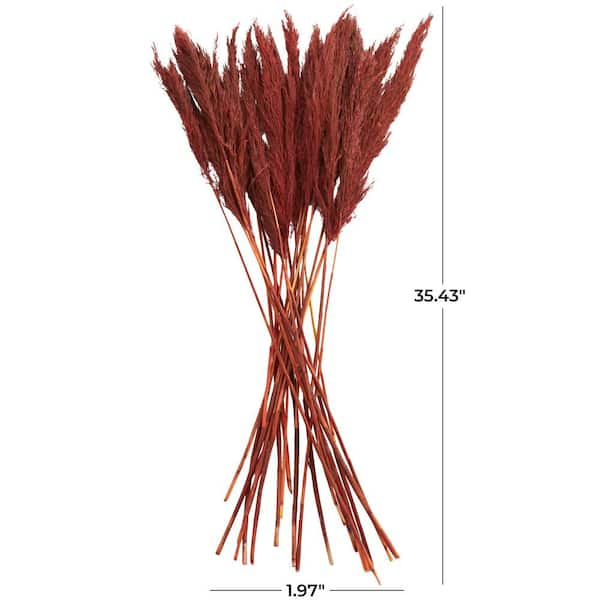 Litton Lane Pampas Natural Foliage with Long Stems (One Bundle) 043439 -  The Home Depot