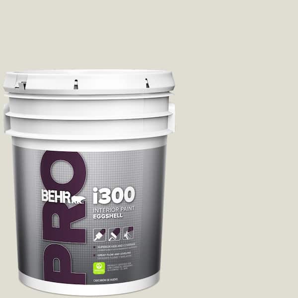 5 gal. #BWC-28 Alpine Frost Eggshell Interior Paint