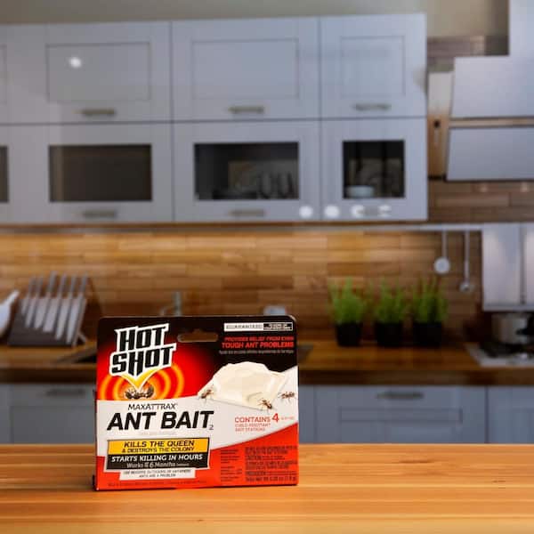 Hot Shot Maxattrax Ant Bait2, Bait Stations - 4 pack, 0.07 oz bait stations