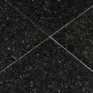 Verde Ubatuba 12 in. x 12 in. Polished Granite Floor and Wall Tile (10 sq. ft./case)