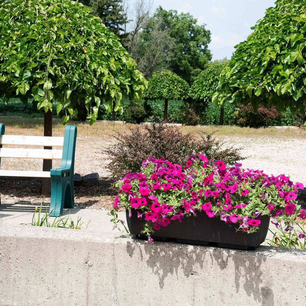 Black Rectangular Polyethylene Indoor/Outdoor Planter