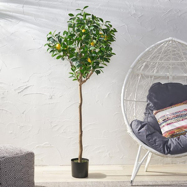 Noble House Dundas 6 ft. Green Artificial Lemon Tree