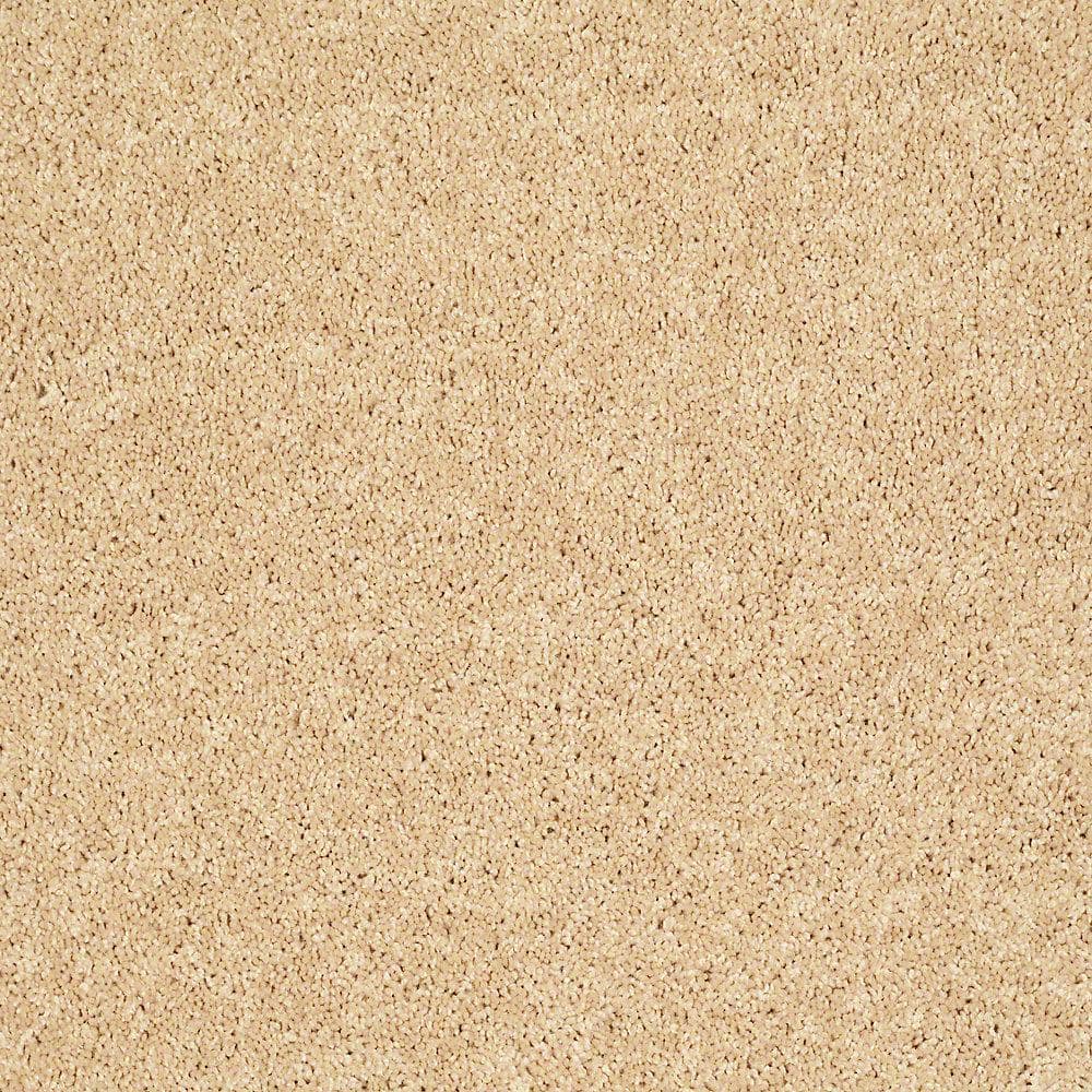 8 in. x 8 in. Texture Carpet Sample - Palmdale II - Color Lavish Bronze price history on PriceWatchPro