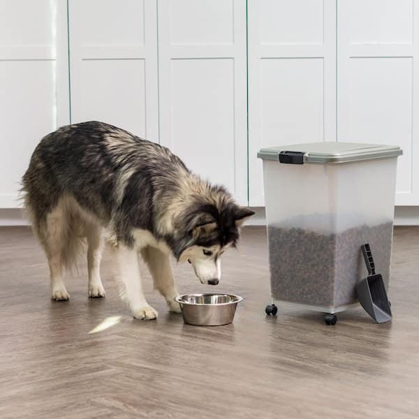 all ages nutrisource dog food NutriSource Small Bites Grain Free High Plains Select Dry Dog Food