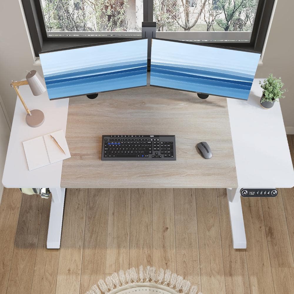 63"×30" Electric Standing Desk Single Motor, Home Office with Cable Management, White Leg + White + Light Oak