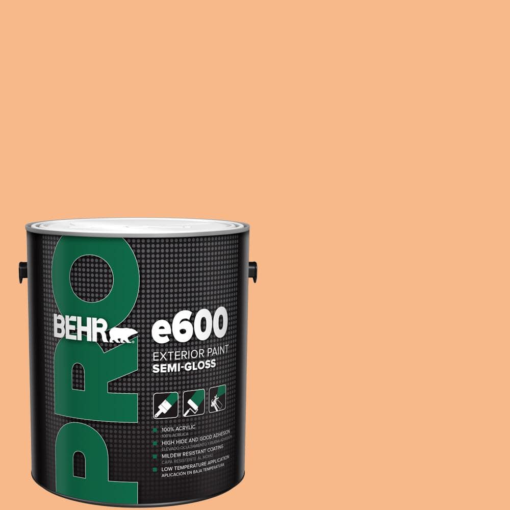 1 gal. #260C-3 Fresh Peaches Semi-Gloss Exterior Paint price history on PriceWatchPro