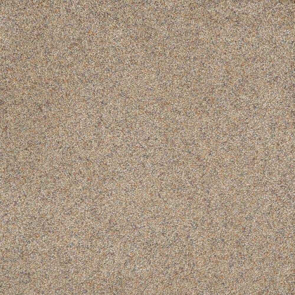 Home Decorators Collection Bradmore II - Kind - Beige 60 oz. SD