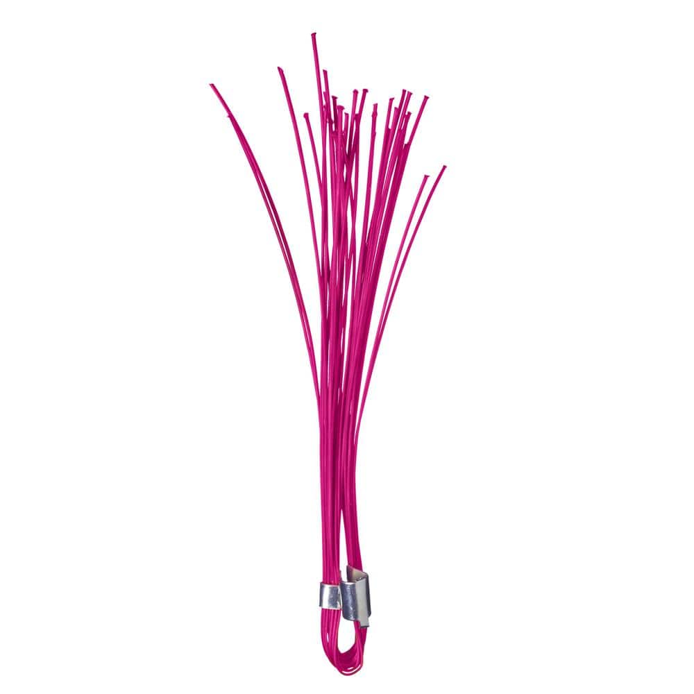 6 in. Glo-Pink Stake Whiskers (500 per Box) price history on PriceWatchPro
