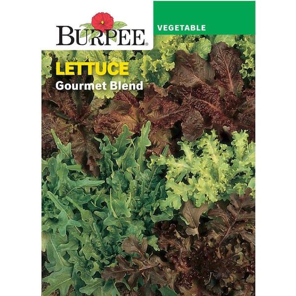 Lettuce Leaf Gourmet Blend Vegetable Seed