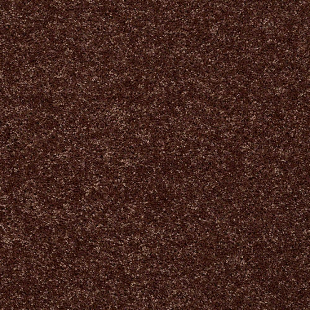 8 in. x 8 in. Texture Carpet Sample - Palmdale II - Color Tunisia Sand price history on PriceWatchPro